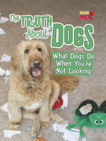 The Truth about Dogs: What Dogs Do When You're Not Looking