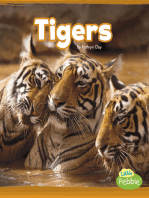 Tigers: A 4D Book