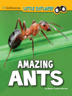 Amazing Ants: A 4D Book