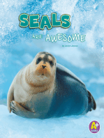 Seals Are Awesome