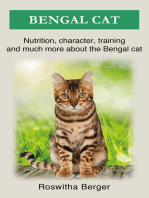 Bengal cat