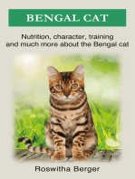 Bengal cat: Nutrition, character, training and much more about the Bengal cat