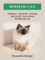 Birman cat: Nutrition, character, training and much more about the Birman cat