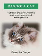 Ragdoll cat: Nutrition, character, training and much more about the Ragdoll cat