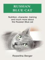Russian Blue cat: Nutrition, character, training and much more about the Russian Blue cat