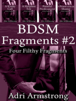 BDSM Fragments #2
