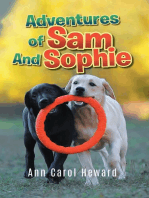 Adventures of Sam And Sophie