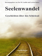 Seelenwandel: Geschichten über das Schicksal