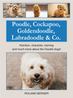 Poodle, Cockapoo, Goldendoodle, Labradoodle & Co.: Nutrition, character, training and much more about the Doodle dogs