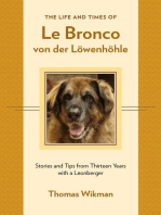 The Life and Times of Le Bronco von der Löwenhöhle