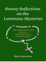 Rosary Reflections on the Luminous Mysteries: Rosary Reflections, #2