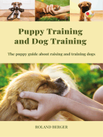 Puppy Training and Dog Training