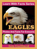 Eagles Photos and Facts for Everyone