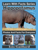 Hippopotamus Photos and Facts for Everyone