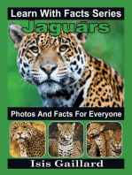 Jaguars Photos and Facts for Everyone