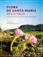 Flora de Santa Maria revisitada