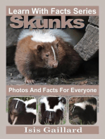 Skunks Photos and Facts for Everyone