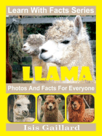 Llama Photos and Facts for Everyone