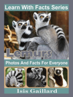 Lemurs Photos and Facts for Everyone