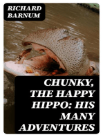 Chunky, the Happy Hippo