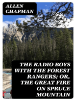 The Radio Boys with the Forest Rangers; Or, The great fire on Spruce Mountain