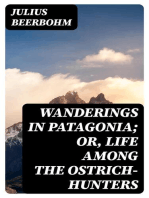 Wanderings in Patagonia; Or, Life Among the Ostrich-Hunters