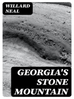 Georgia's Stone Mountain