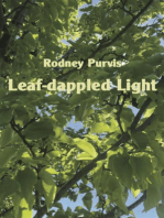 Leaf-dappled Light