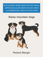 Swiss mountain dogs: Entlebucher Mountain Dog, Appenzeller Mountain Dog and Bernese Mountain Dog