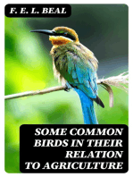 Some Common Birds in Their Relation to Agriculture