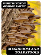 Mushroom and Toadstools: How to Distinguish Easily the Differences Between Edible and Poisonous Fungi