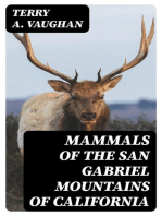 Mammals of the San Gabriel Mountains of California