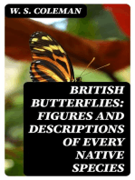 British Butterflies