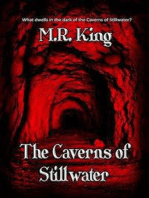 The Caverns of Stillwater