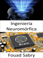 Ingeniería Neuromórfica: La práctica de usar sistemas de circuitos analógicos eléctricos para imitar estructuras neurobiológicas que están presentes en el sistema nervioso.