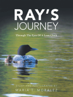 Ray’s Journey