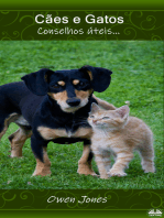 Cães E Gatos: Conselhos Úteis...