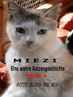 Miezi – Eine wahre Katzengeschichte Teil 2