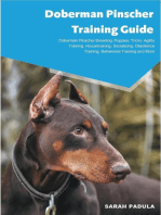 Doberman Pinscher Training Guide Doberman Pinscher Breeding, Puppies, Tricks, Agility Training, Housetraining, Socializing, Obedience Training, Behavioral Training and More