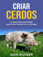 Criar cerdos