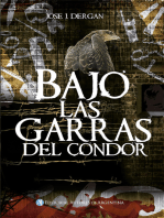 Bajo las garras del condor