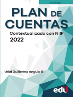 Plan de cuentas. Contextualizado con NIIF 2022