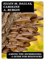 Among the Mushrooms: A Guide For Beginners