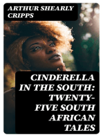 Cinderella in the South: Twenty-Five South African Tales