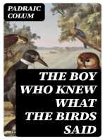 The Boy Who Knew What The Birds Said