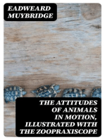 The Attitudes of Animals in Motion, Illustrated with the Zoopraxiscope