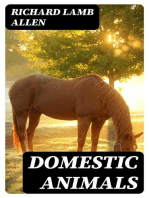 Domestic Animals