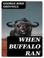 When Buffalo Ran