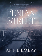 Fenian Street