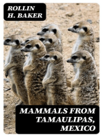 Mammals from Tamaulipas, Mexico